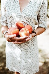 woman holding peaches
