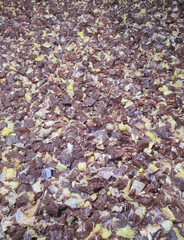 raw beef buffalo photos.  Captivating shot of raw buffalo beef, expertly cut and prepared for marination. Perfect for culinary inspiration and cooking enthusiasts. #BuffaloBeef #MarinationPrep