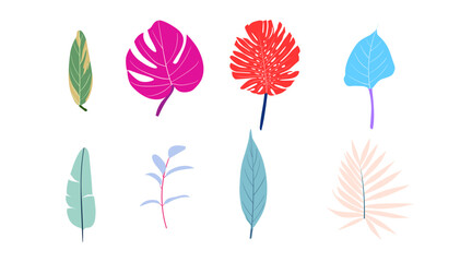 Obraz premium vector collection of illustrations of tropical foliage leaves
