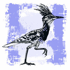 San Antonio, Texas - Roadrunner: Grunge Vector Illustration