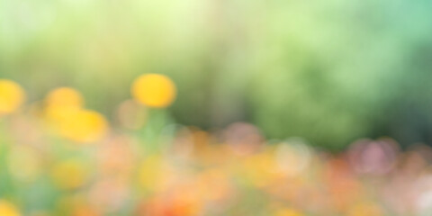 Obraz premium grass and flowers with blurred background on spring time