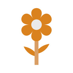 orange flower isolated on white background