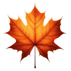 autumn maple leaf isolated on transparent background, AI generated  - obrazy, fototapety, plakaty