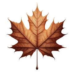 Obraz premium autumn maple leaf isolated on transparent background, AI generated 