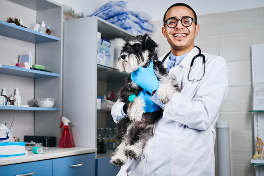 Smiling veterinarian holding domestic dog in hands