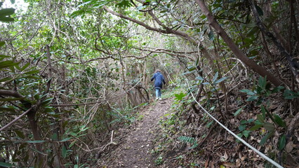 山道を歩く女性
