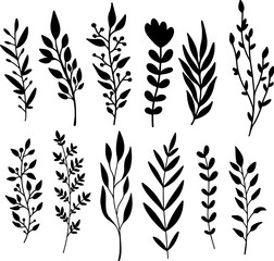 Set of hand drawn floral branches. Design element for decoration. Vector illustration
