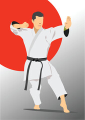 Japan images. Oriental combat sports. Kung Fu. Colored 3d vector hand draw  illustration