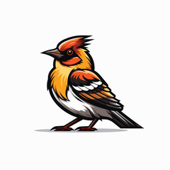 vector illustration of sparrow bird with white background