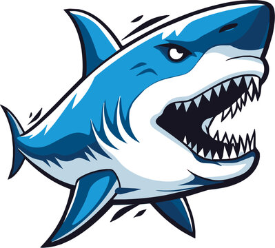 vector illustration of shark with white background
