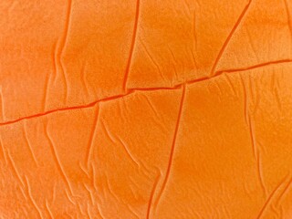 abstract orange texture with vein like structure