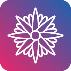 Aster Icon Style