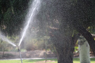 Automatic sprinkler spraying water in a park