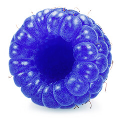 Ripe blue raspberry isolated on white background.