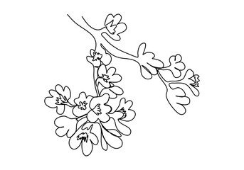 Cherry blossom, one line drawing vector illustration.