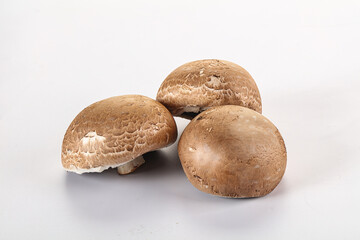Raw brown champignon for cooking