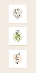 Gallery wall art set of 3 square print with twigs and spots for bedroom, living room. Hand draw vector illustration in a trendy natural color.
