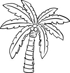 sketch palm tree hand drawn
