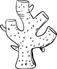 sketch sea coral hand drawn
