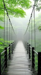 Obraz premium suspension bridge over the river