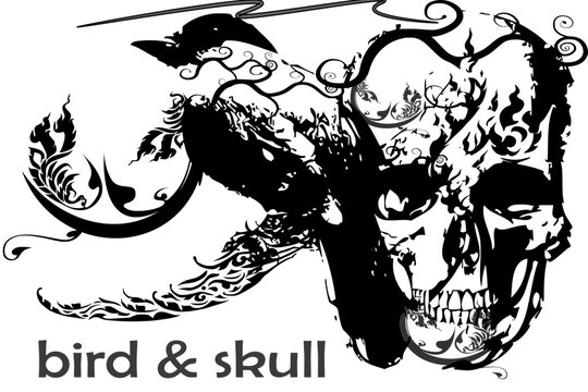 bird and skull art rock and line Thai decoration black and white
