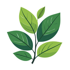 Green Leaves Vector
