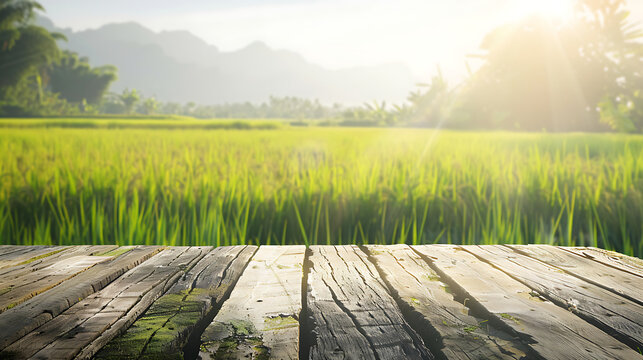 Wooden table top on blur rice field and mountain background.For place food,drink or health care business.fresh landscape and relax season concept.View of copy space. Generative AI illustration 