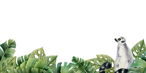 Lemur monkey in tropical leaves and bushes horizontal banner watercolor illustration isolated on white background with jungle forest nature and exotic plants © Elena Malgina