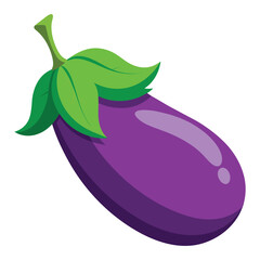 Vector of Eggplant Fruit on white.