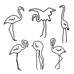 Set of abstract flamingos. Line drawing minimalist design. Hand drawn art. - 740517376