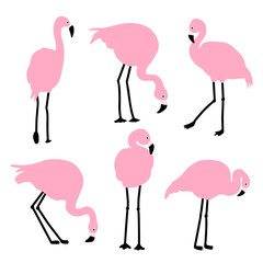 Set of pink flamingos. Exotic birds in different poses. Isolated on a white background. - 740517390
