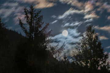 Naklejka premium Long exposure of full moon and clouds with silhouette trees Squamish