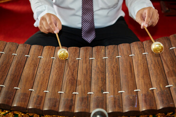 Cropped Hands of the man playing the xylophone