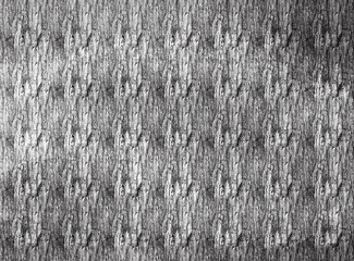 Obraz premium 제목 없는 아트워크