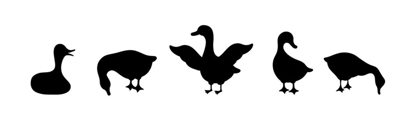 Fototapeta premium Set of gooses silhouette. Domestic and wild ducks on white background. Agriculture birds on farm. Rural wildlife. Hand drawn print. Vector illustration in flat style.