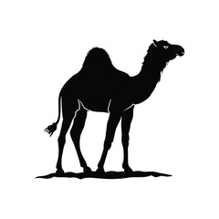 Camel Vector Black Silhouette Design for T.Shirt