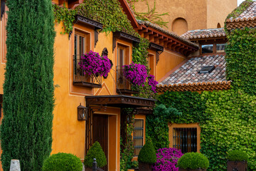 Facade with purple flowers