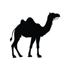 Camel Vector Black Silhouette Design for T.Shirt