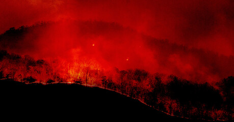 Forest was engulfed in flames turning the sky and surrounding area a fiery red.