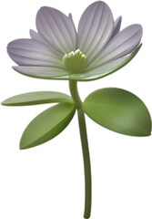 Hepatica Americana clipart. A cute Hepatica Americana flower icon.