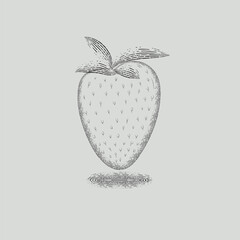 Graphic image of strawberries. Vector graphics. vintage