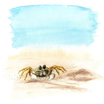 Small sea crab on the beach sand on the background of the sea with copy space. Hand drawn watercolor illustration isolated on white background