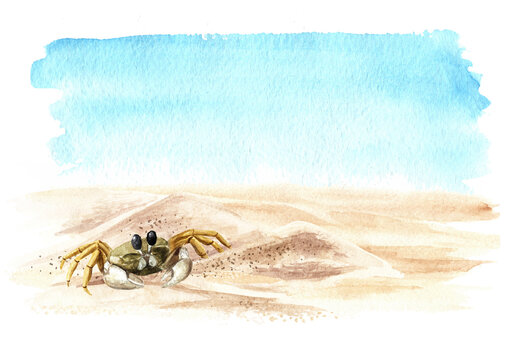 Small sea crab on the beach sand on the background of the sea with copy space. Hand drawn watercolor illustration, isolated on white background