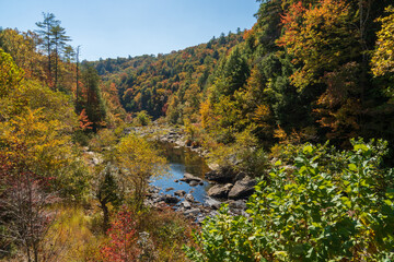 Fototapeta premium Obed Wild & Scenic River in the Cumberland Plateau in Tennessee