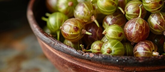 A dish of natural foods featuring a mix of green and red gooseberries, a staple food sourced from...