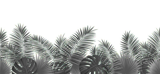Amazon tropical plants seamless pattern. Black and white vector coconut palms leaves repeated background. Rainforest foliage template border frame. Jungle repeated banner. Dark tropic flora design.