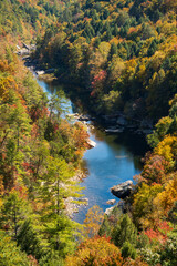 Obed Wild & Scenic River in the Cumberland Plateau in Tennessee