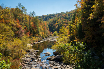 Obed Wild & Scenic River in the Cumberland Plateau in Tennessee