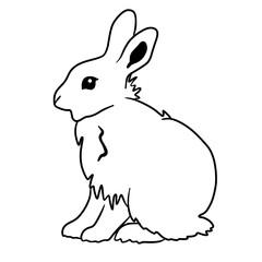 Obraz premium Rabbit Black Lines Vector Coquette Series Cute