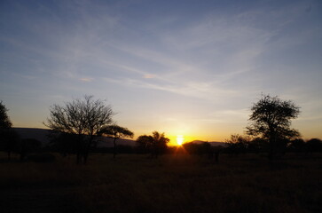 Sunset over the Savannah of Tanzania